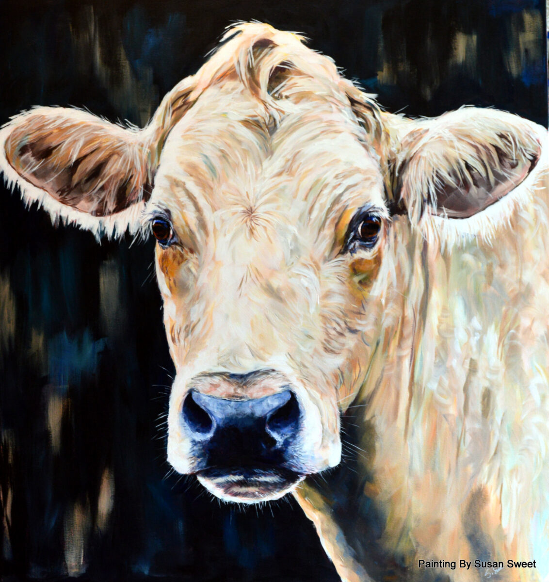 Susan N. Sweet - Visual Arts Nova Scotia