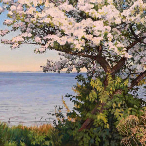 St. Georges Bay (apple tree in bloom)