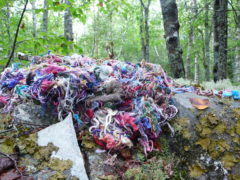 Threads, wool, linen and cotton threads, installation on the artist's property