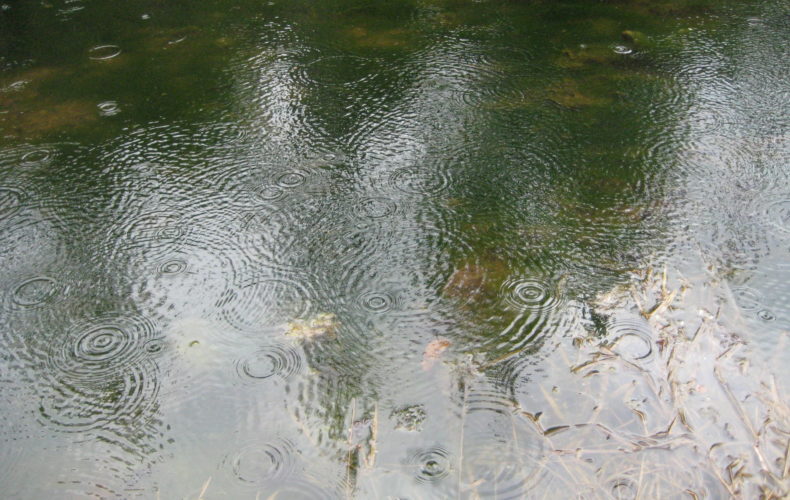 Suzanne Gauthier, Rain On Fox River, digital photograph, 2014
