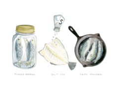 Kat Frick Miller, Fish Trilogy, watercolour, 11" x 14",