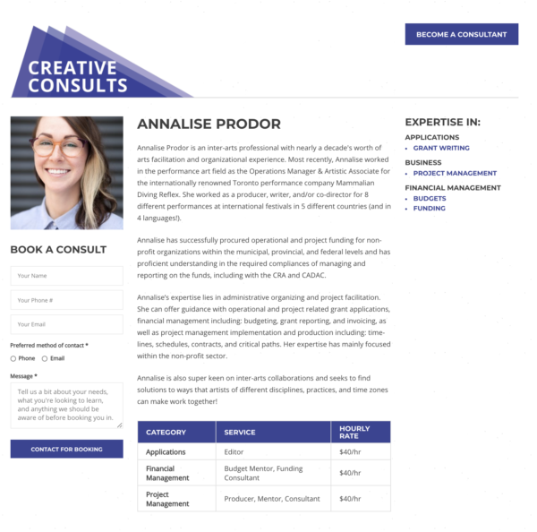 Creative Consultant Profile 