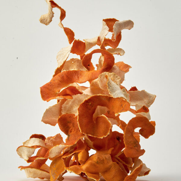 Jessica MacDonald, "husk", orange peels, 2020.
Photo by Wiebke Schroeder.