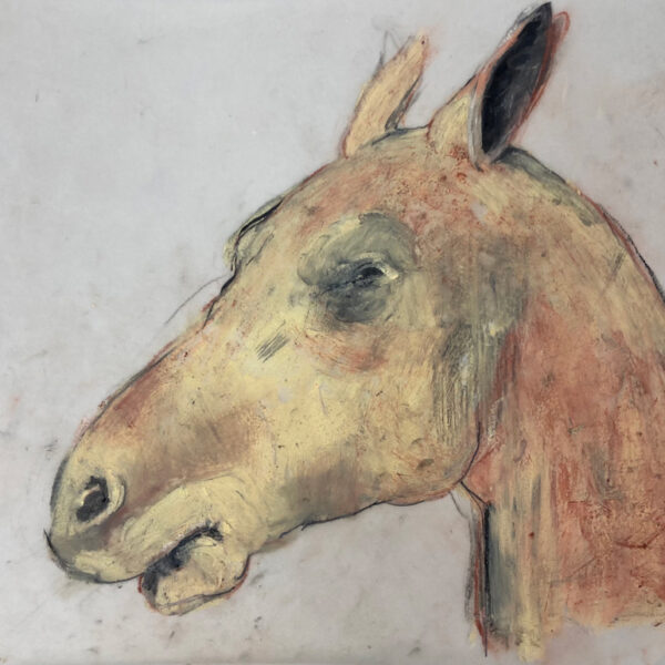 Annie MacDonald, "Horse Head", charcoal and pastel on vellum, 35.6cm x 27.9cm, 2021. Image courtesy of artist.